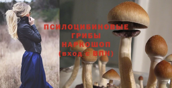 соль курить ск Михайловка