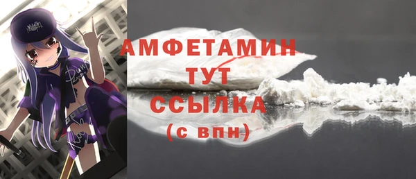 молекула духа Михайлов