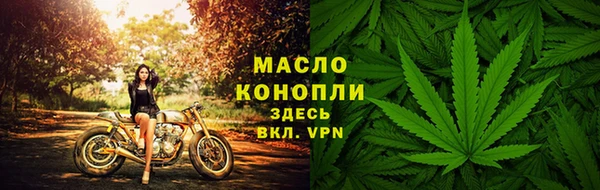 молекула духа Михайлов
