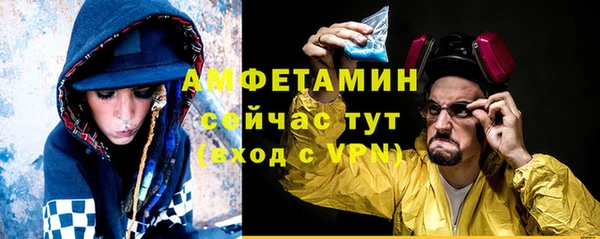 молекула духа Михайлов