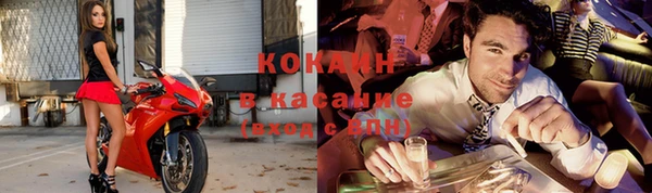молекула духа Михайлов