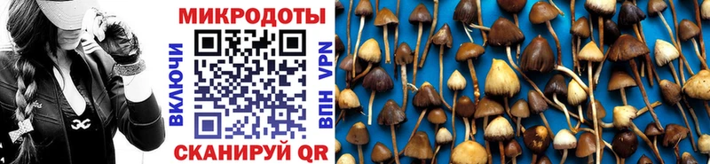 продажа наркотиков  Санкт-Петербург  мега как зайти  Галлюциногенные грибы ЛСД 