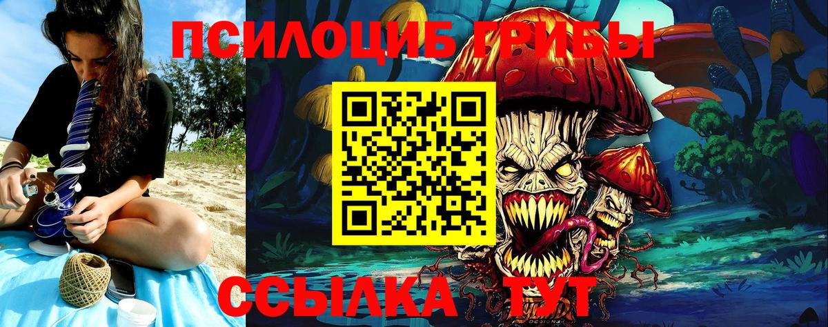 Галлюциногенные грибы мицелий  Санкт-Петербург 