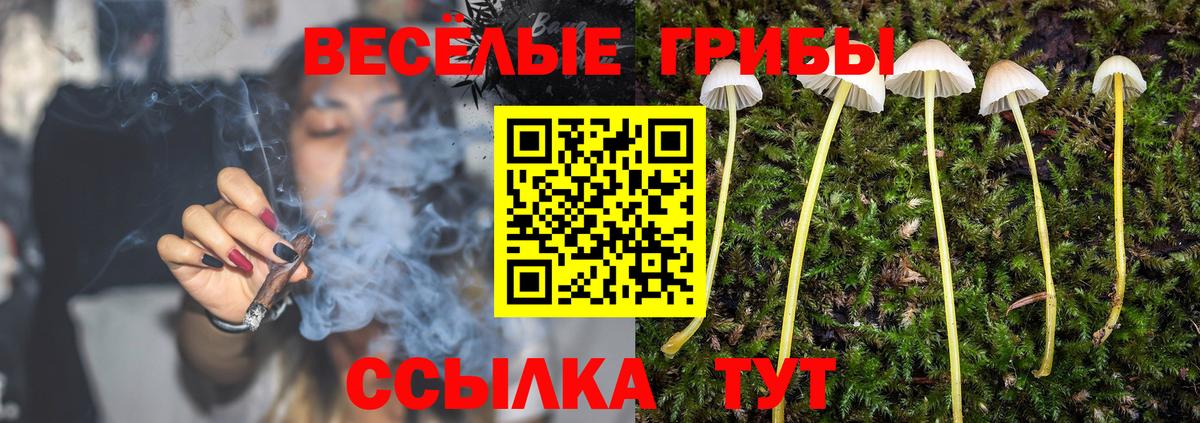 Санкт-Петербург  Галлюциногенные грибы прущие грибы  Псилоцибиновые грибы прущие грибы  Вход с VPN 