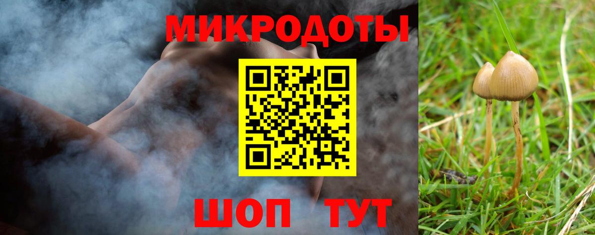 Псилоцибиновые грибы Psilocybine cubensis Санкт-Петербург